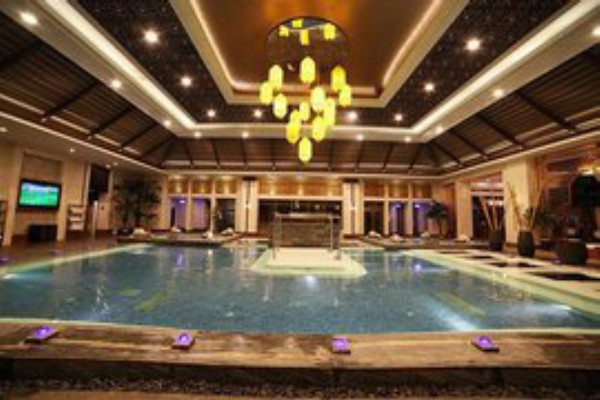 成都茶文化：揭秘成都人独特的饮茶方式